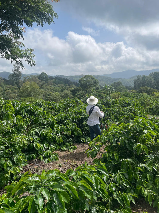 Three Generations. One Perfect Cup