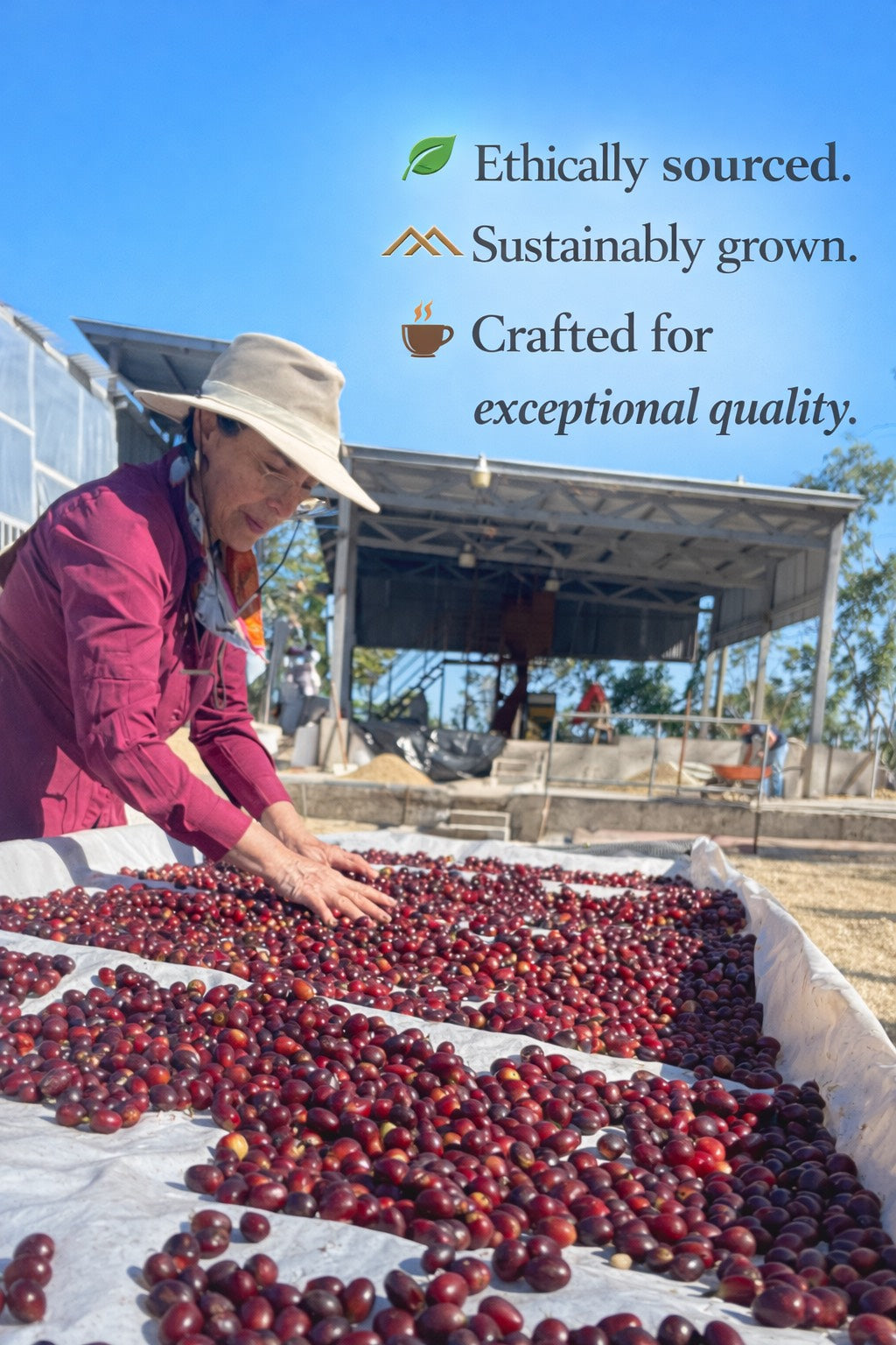 CIMMA Coffee – 102 Count Variety Pack | Single-Origin Coffee Pods | 100% Arabica