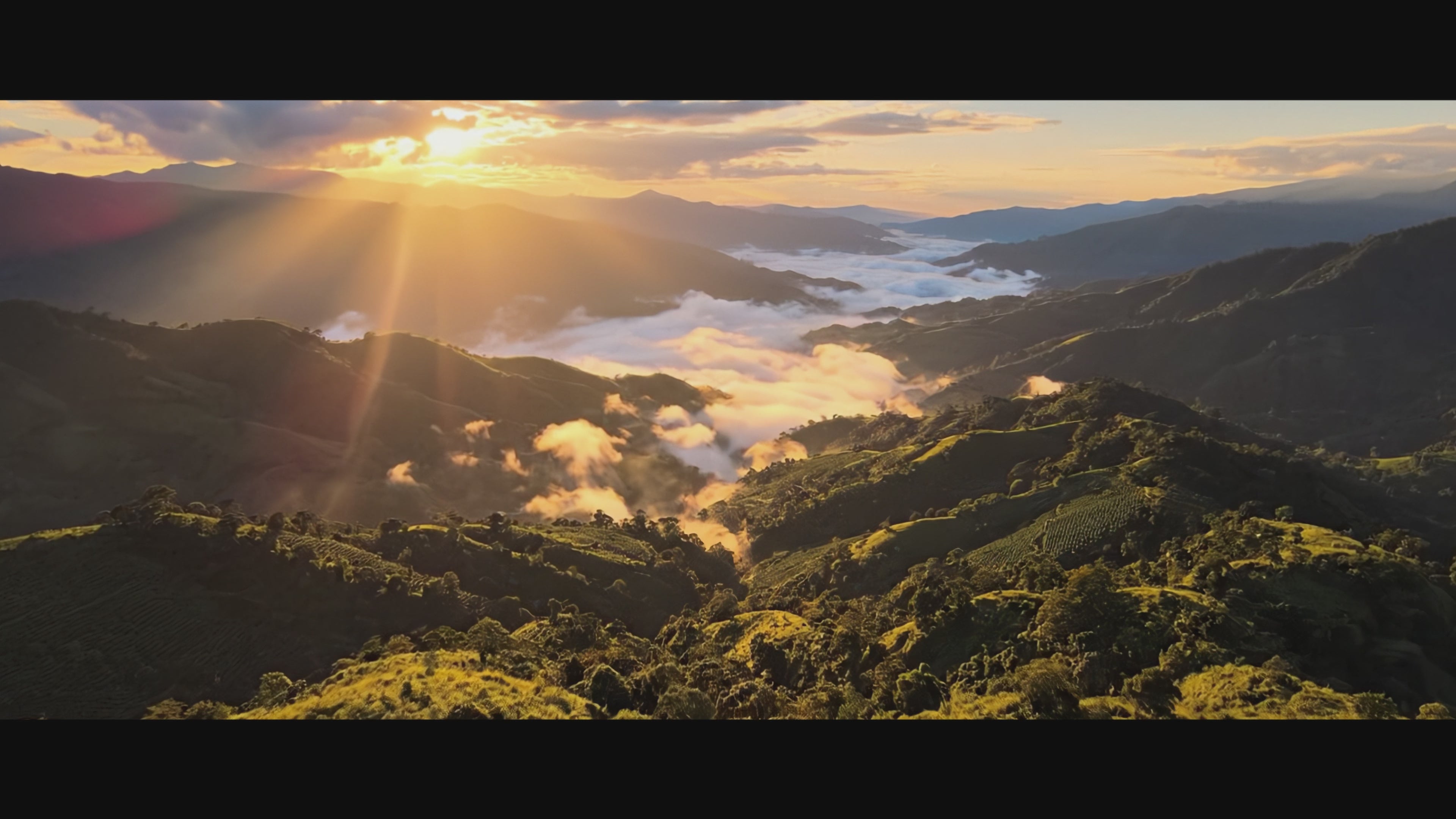 Load video: About CIMMA Coffee